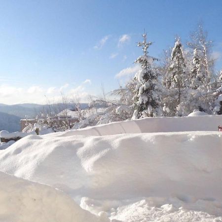 Laptitevosgienne Vue Lac A Gerardmer ! מראה חיצוני תמונה