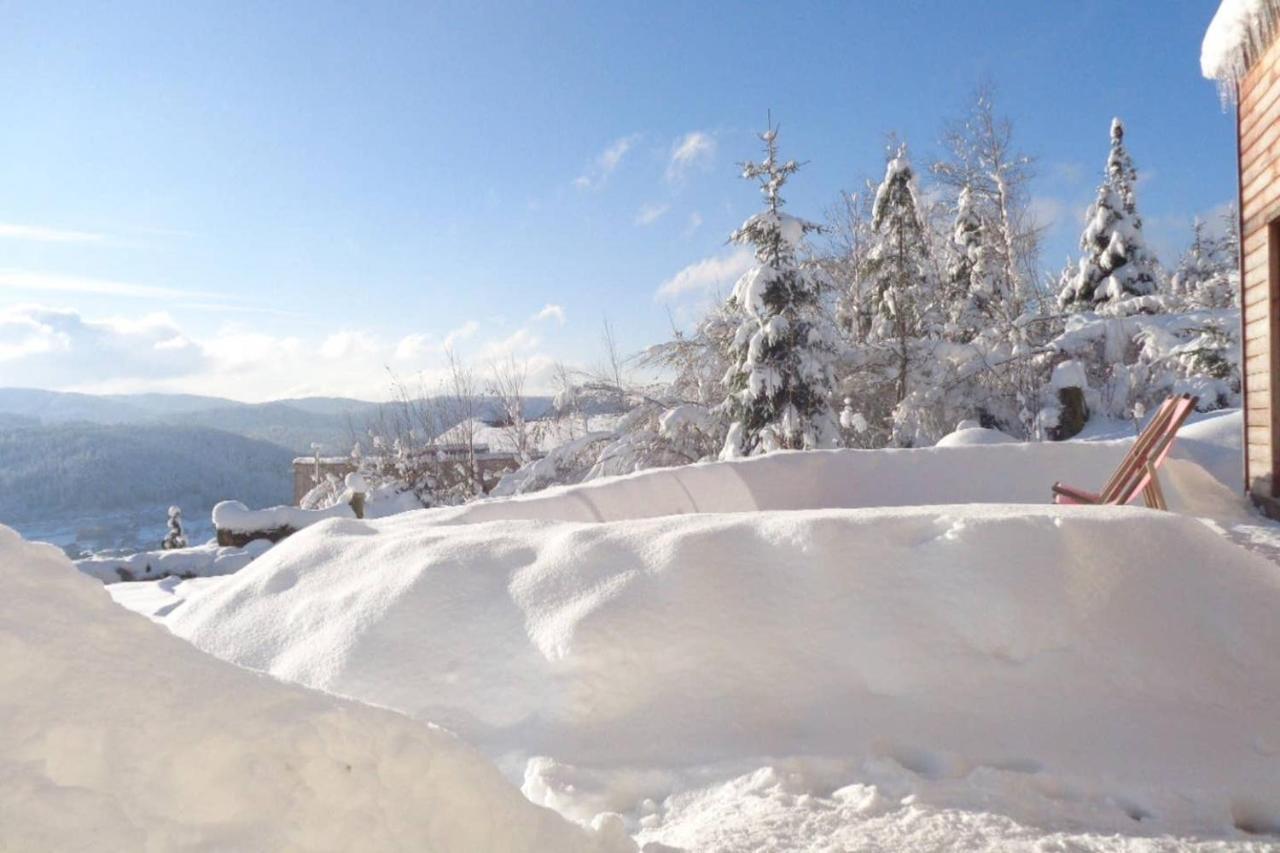 Laptitevosgienne Vue Lac A Gerardmer ! מראה חיצוני תמונה